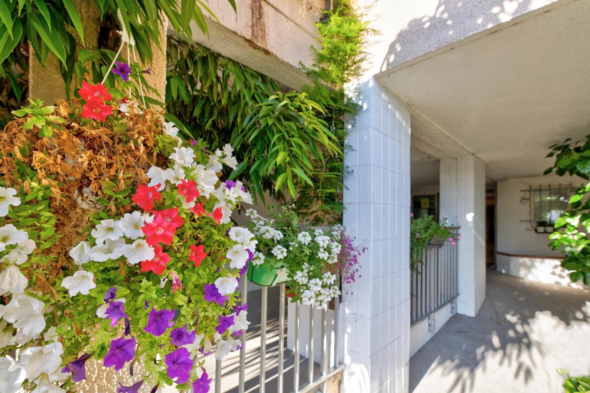 Residence Pierre & Vacances Bandol Port Exteriör bild